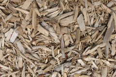 biomass boilers Rhynd